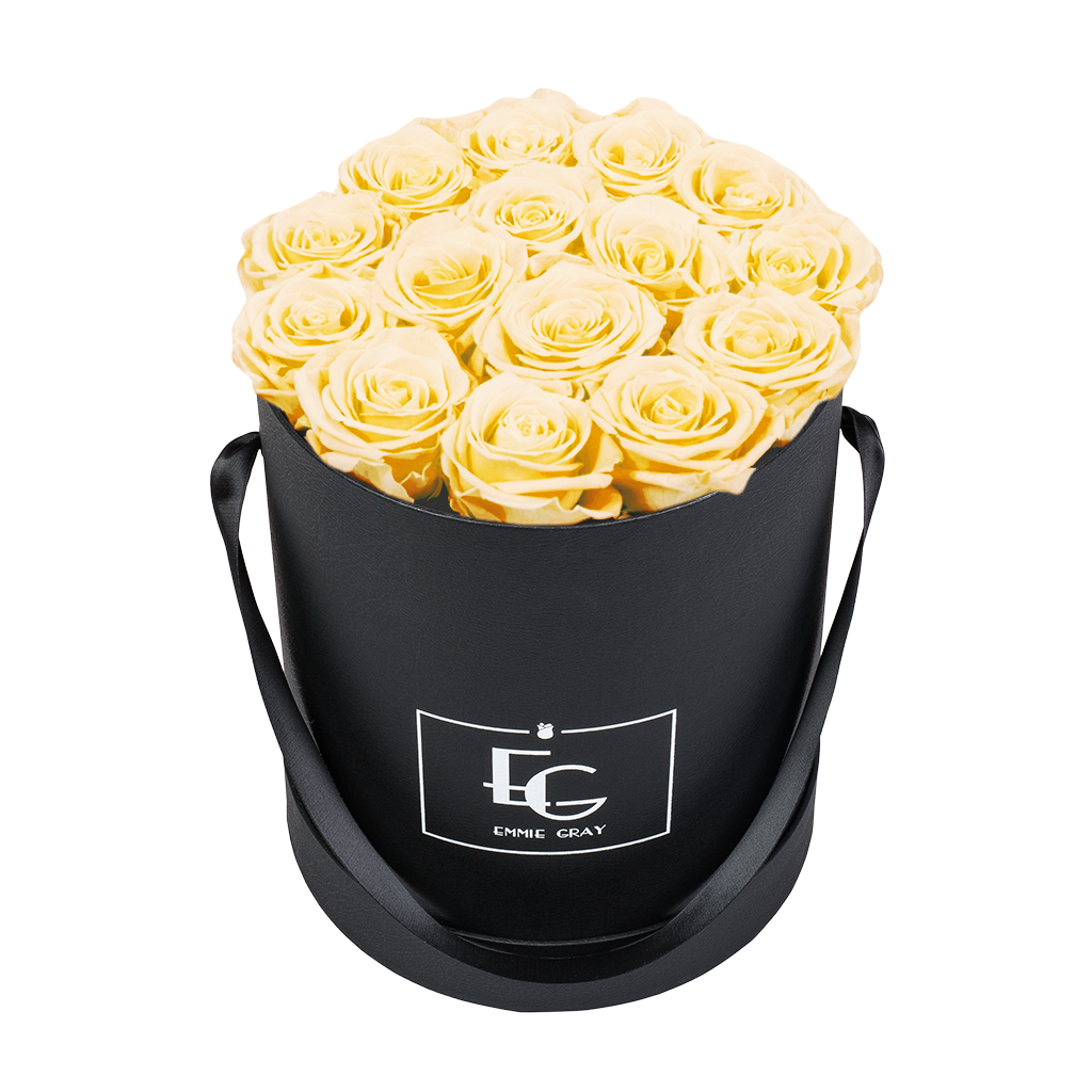 CLASSIC INFINITY ROSEBOX | CHAMPAGNE | M