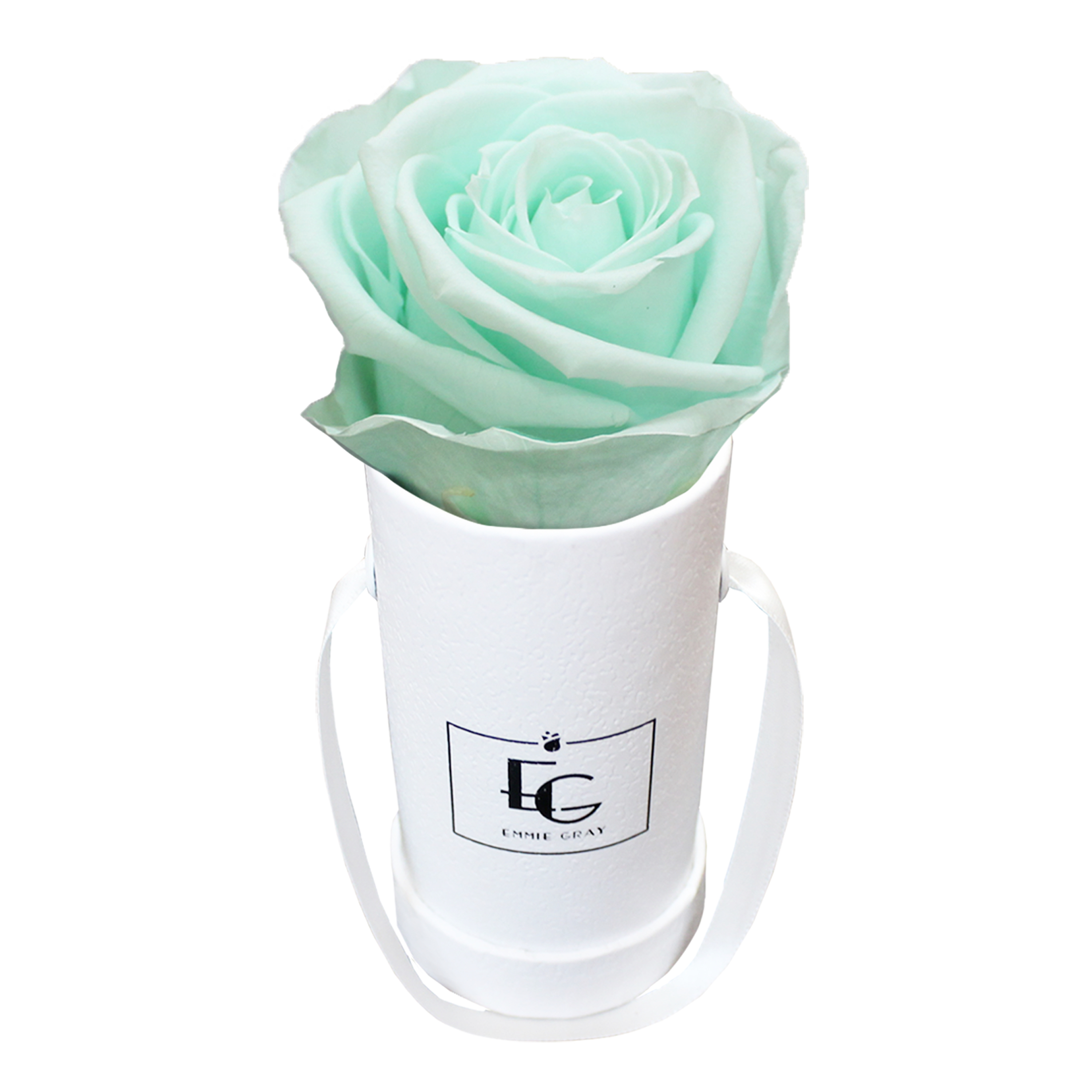 CLASSIC INFINITY ROSEBOX | MINTY GREEN | XXS
