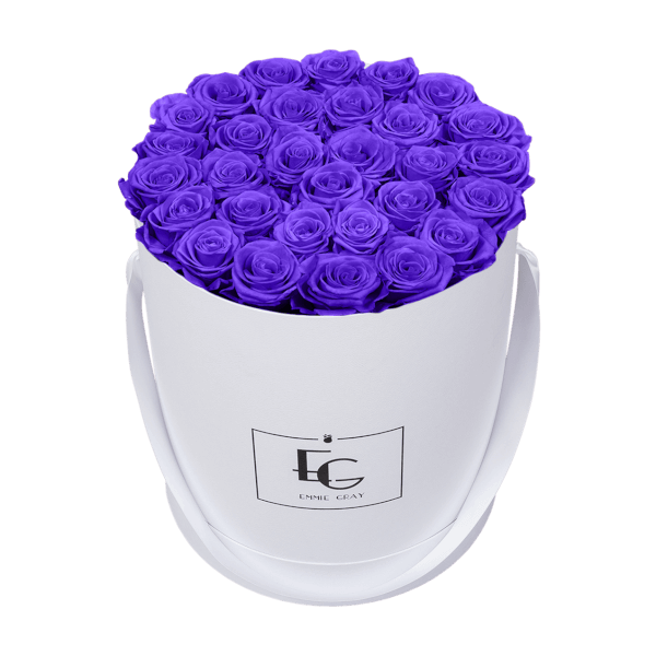 CLASSIC INFINITY ROSEBOX | VIOLET VAIN | L