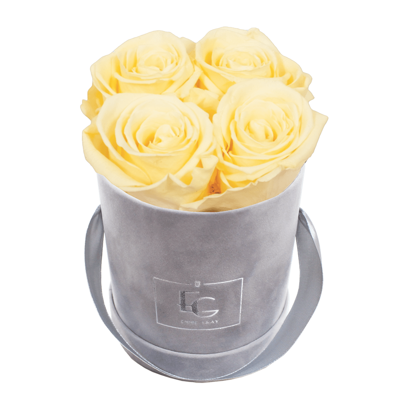 CLASSIC INFINITY ROSEBOX | CHAMPAGNE | XS