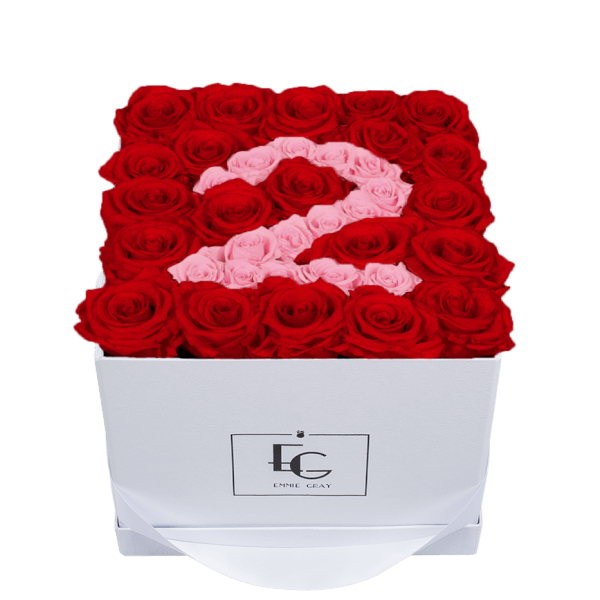 NUMBER INFINITY ROSEBOX | VIBRANT RED & BRIDAL PINK | M