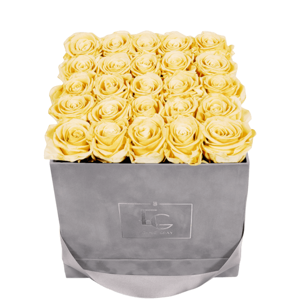 CLASSIC INFINITY ROSEBOX | CHAMPAGNE | M