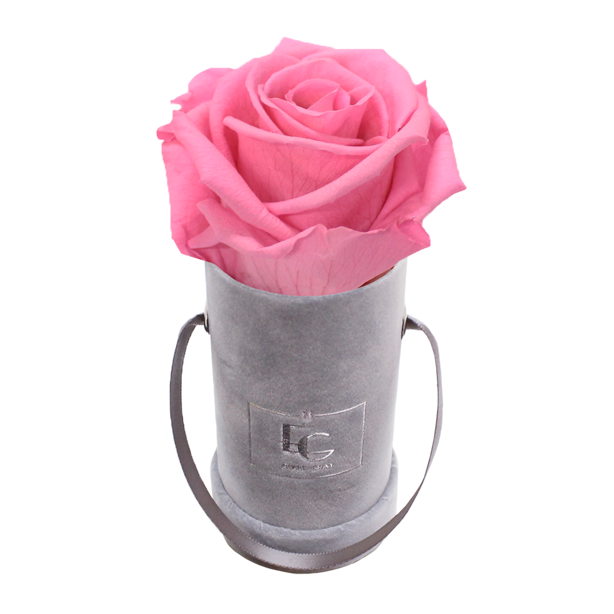 CLASSIC INFINITY ROSEBOX | BABY PINK | XXS