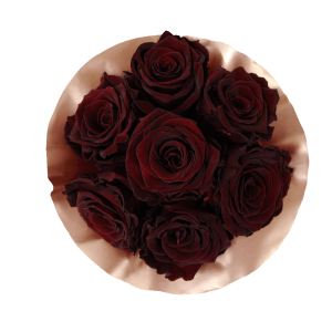 Preview: Splendid Infinity Rosebox | Burgundy | XS Preview: Splendid Infinity Rosebox | Burgundy | XS