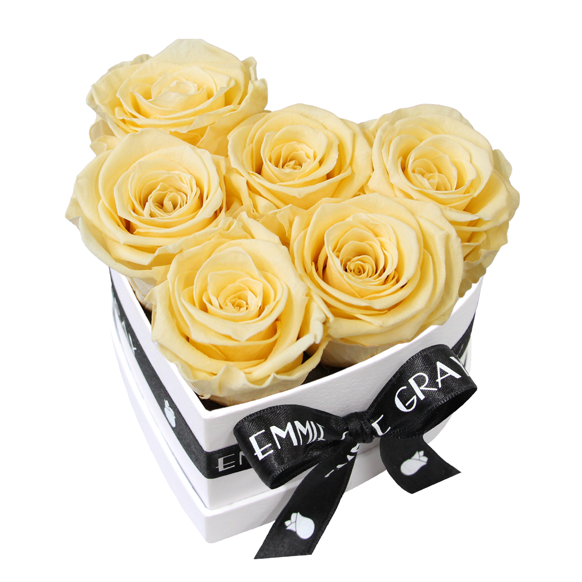 Classic Infinity Rosebox | Champagne | S Classic Infinity Rosebox | Champagne | S