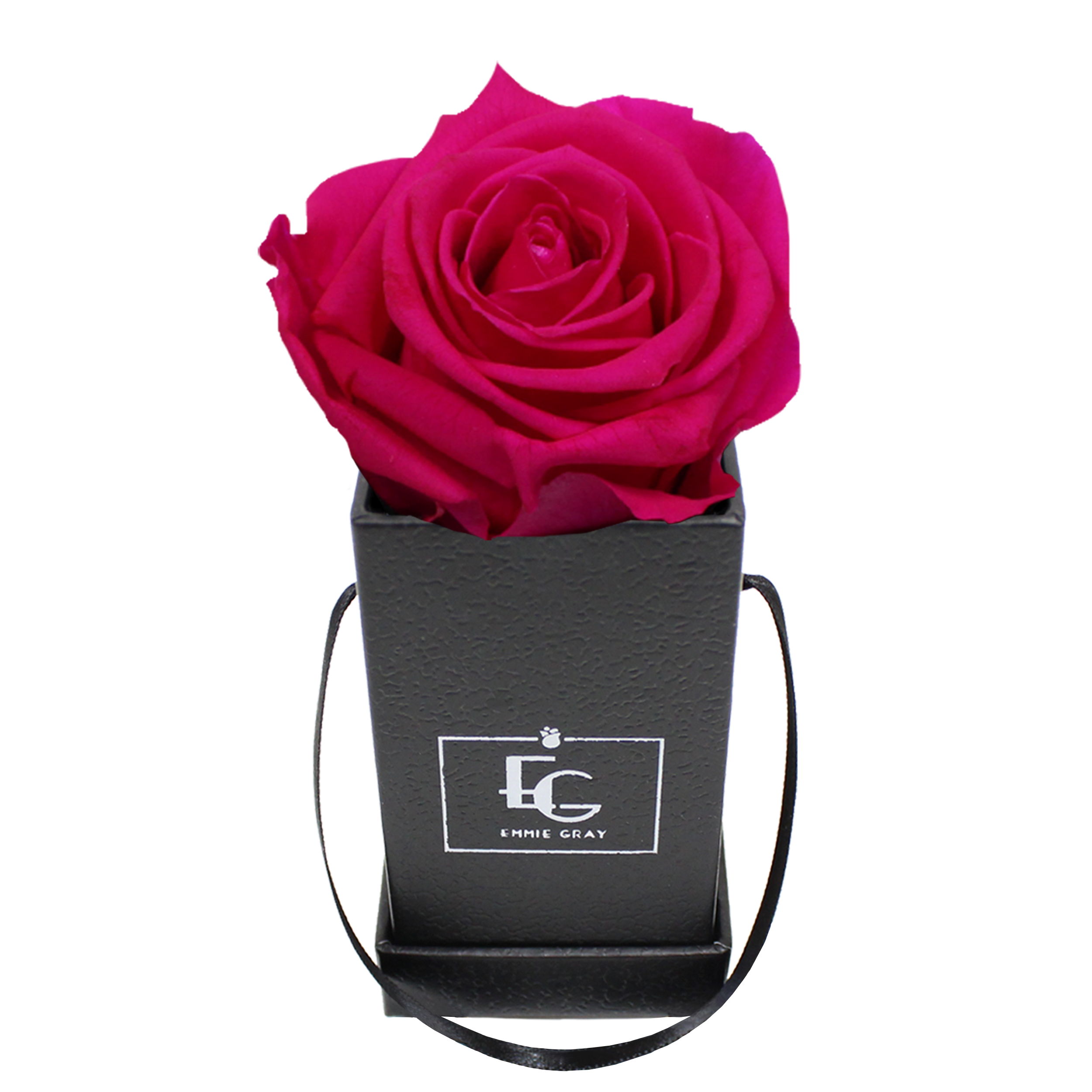 CLASSIC INFINITY ROSEBOX | HOT PINK | XXS