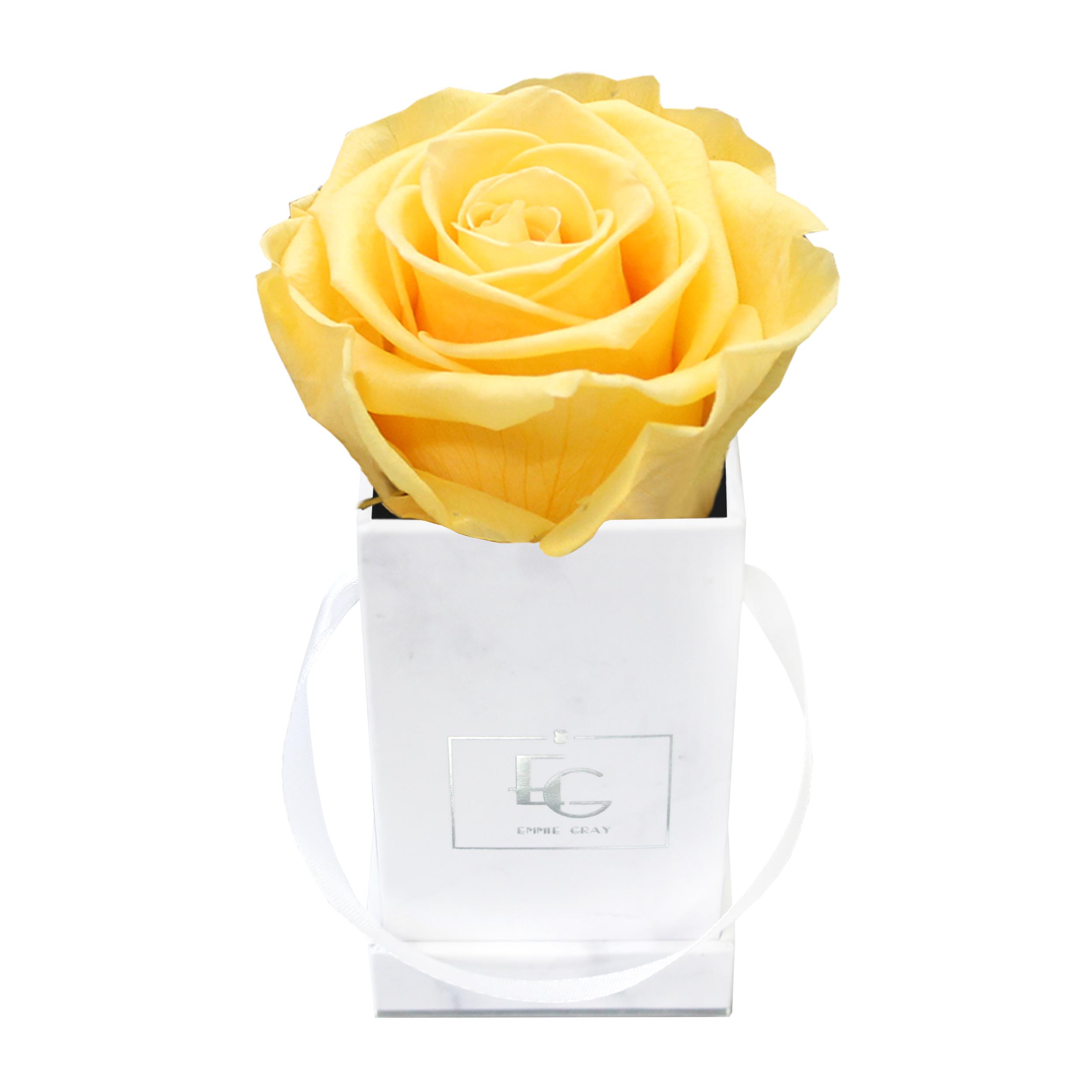 Classic Infinity Rosebox | Perfect Peach | XXS