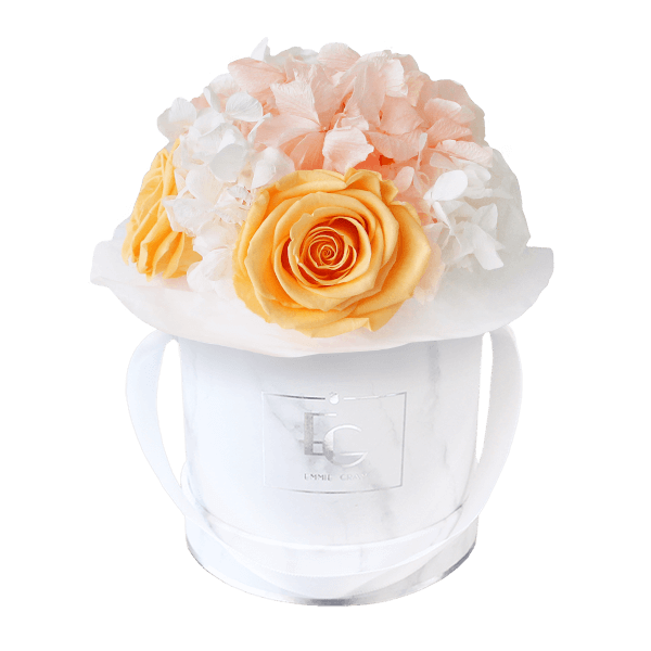 Splendid Hydrangea Mix Infinity Rosebox | Perfect Peach & Pure White | XS