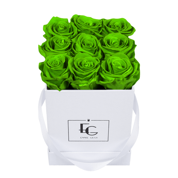 CLASSIC INFINITY ROSEBOX | GREEN GLOW | S