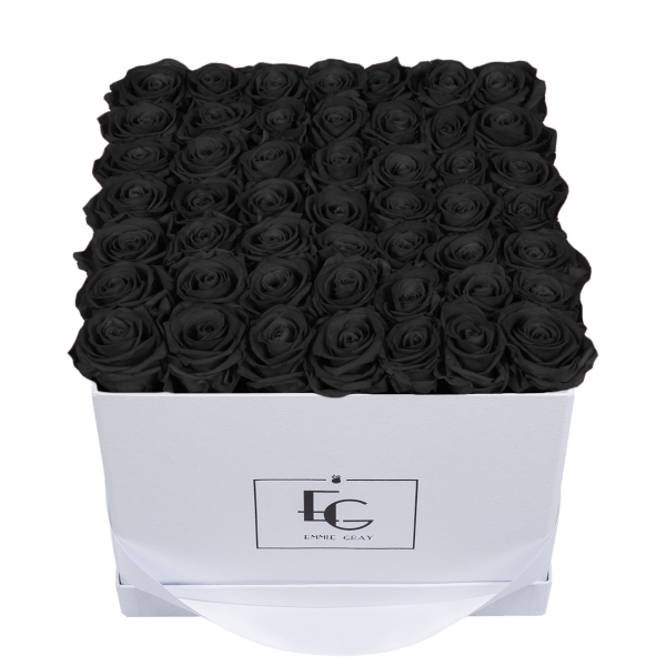 CLASSIC INFINITY ROSEBOX | BLACK BEAUTY | L