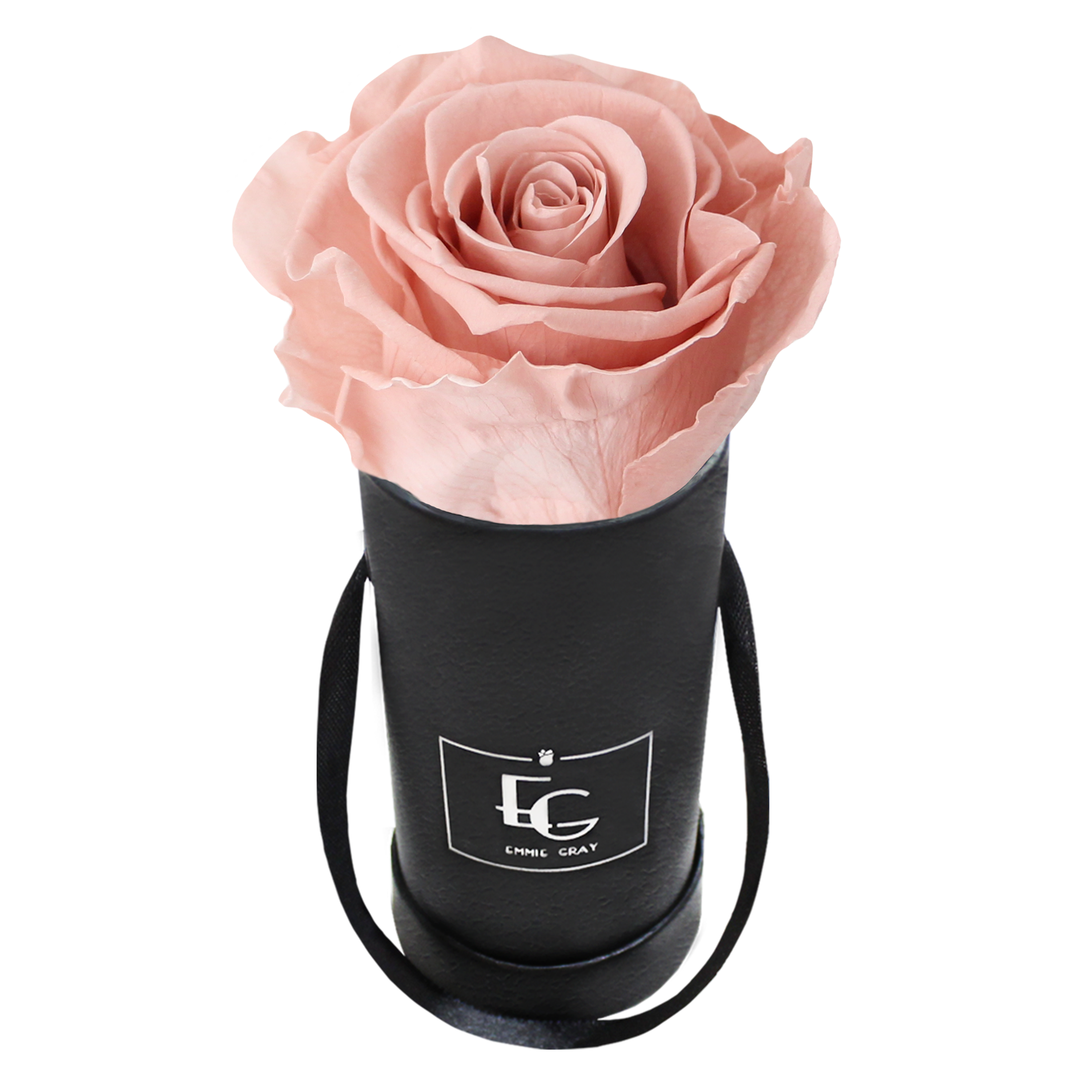 Classic Infinity Rosebox | Antique Pink | XXS