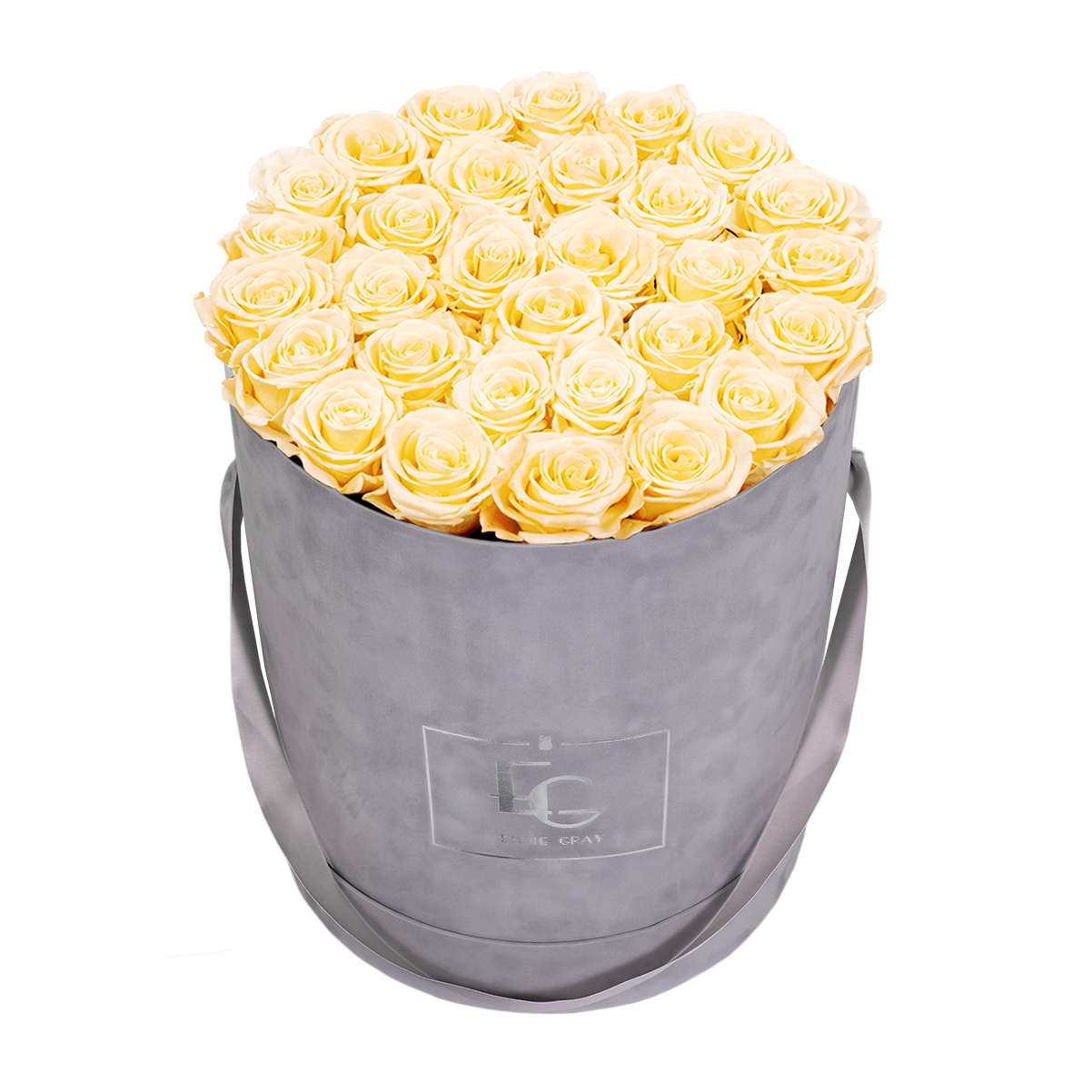 CLASSIC INFINITY ROSEBOX | CHAMPAGNE | L