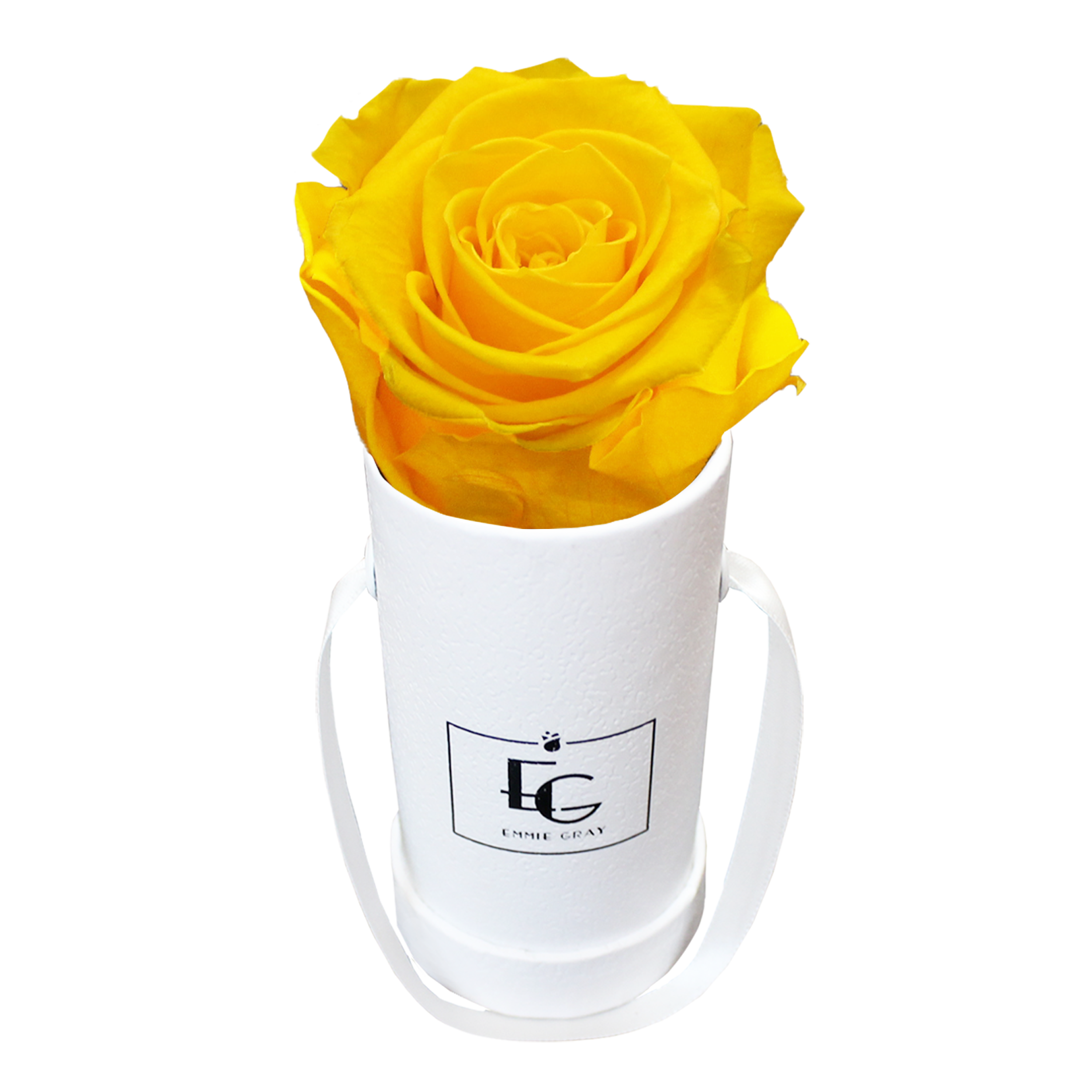 CLASSIC INFINITY ROSEBOX | SUNNY YELLOW | XXS CLASSIC INFINITY ROSEBOX | SUNNY YELLOW | XXS