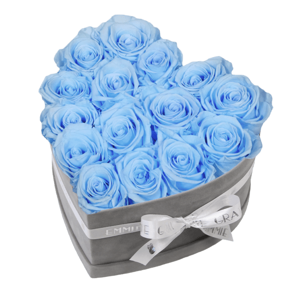 Classic Infinity Rosebox | Baby Blue | M