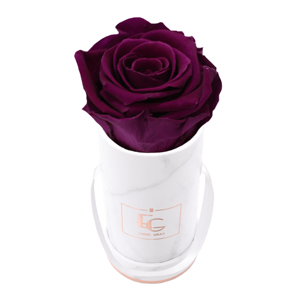 Classic Infinity Rosebox | Velvet Plum | XXS