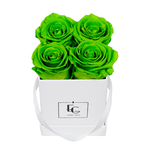 CLASSIC INFINITY ROSEBOX | GREEN GLOW | XS