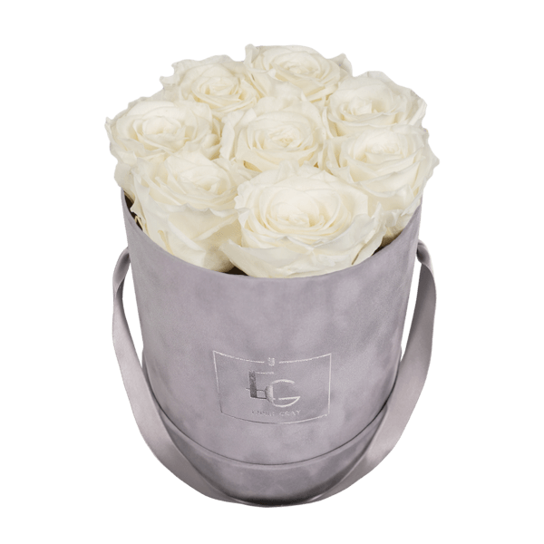 CLASSIC INFINITY ROSEBOX | PURE WHITE | S