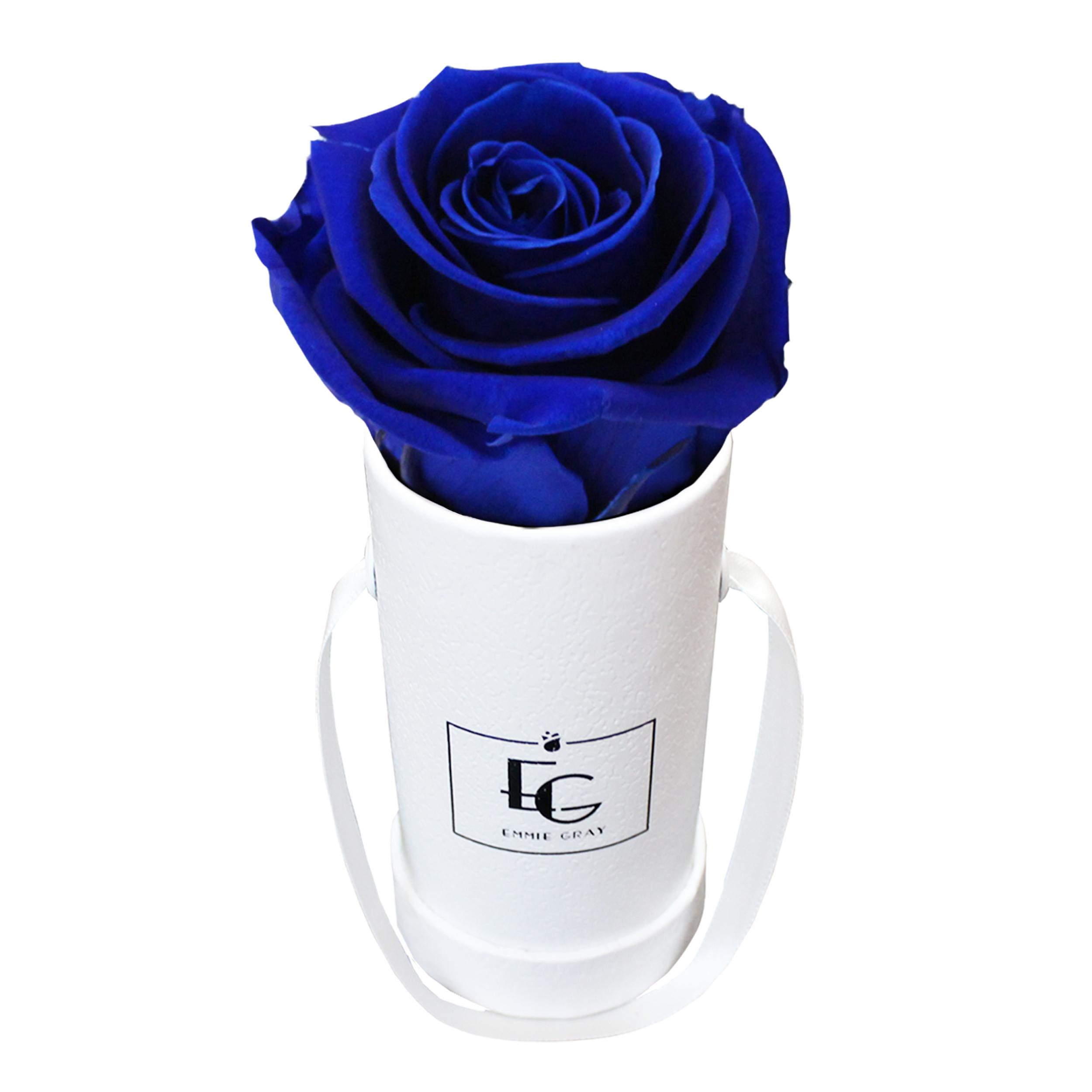 CLASSIC INFINITY ROSEBOX | OCEAN BLUE | XXS