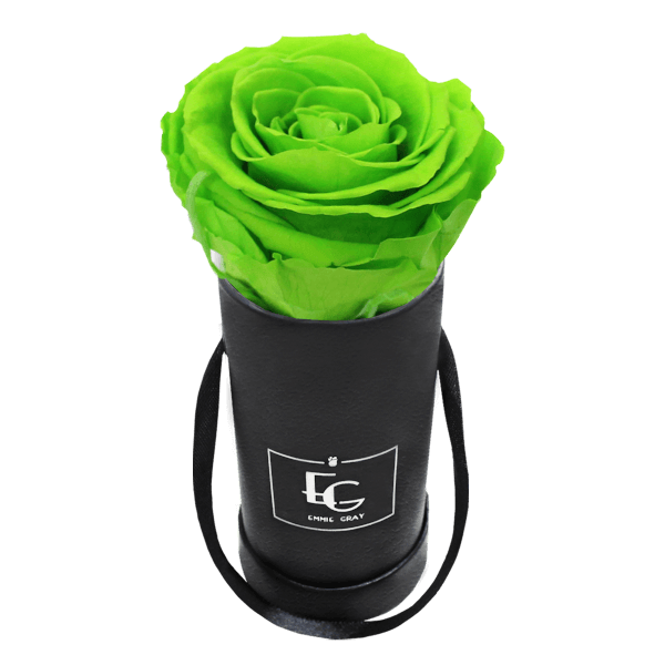 CLASSIC INFINITY ROSEBOX | GREEN GLOW | XXS