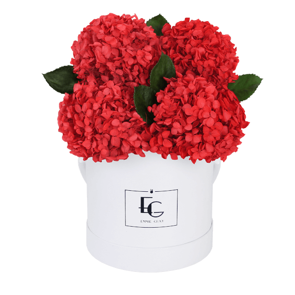 Signature Hydrangea Infinity Rosebox | Vibrant Red | S