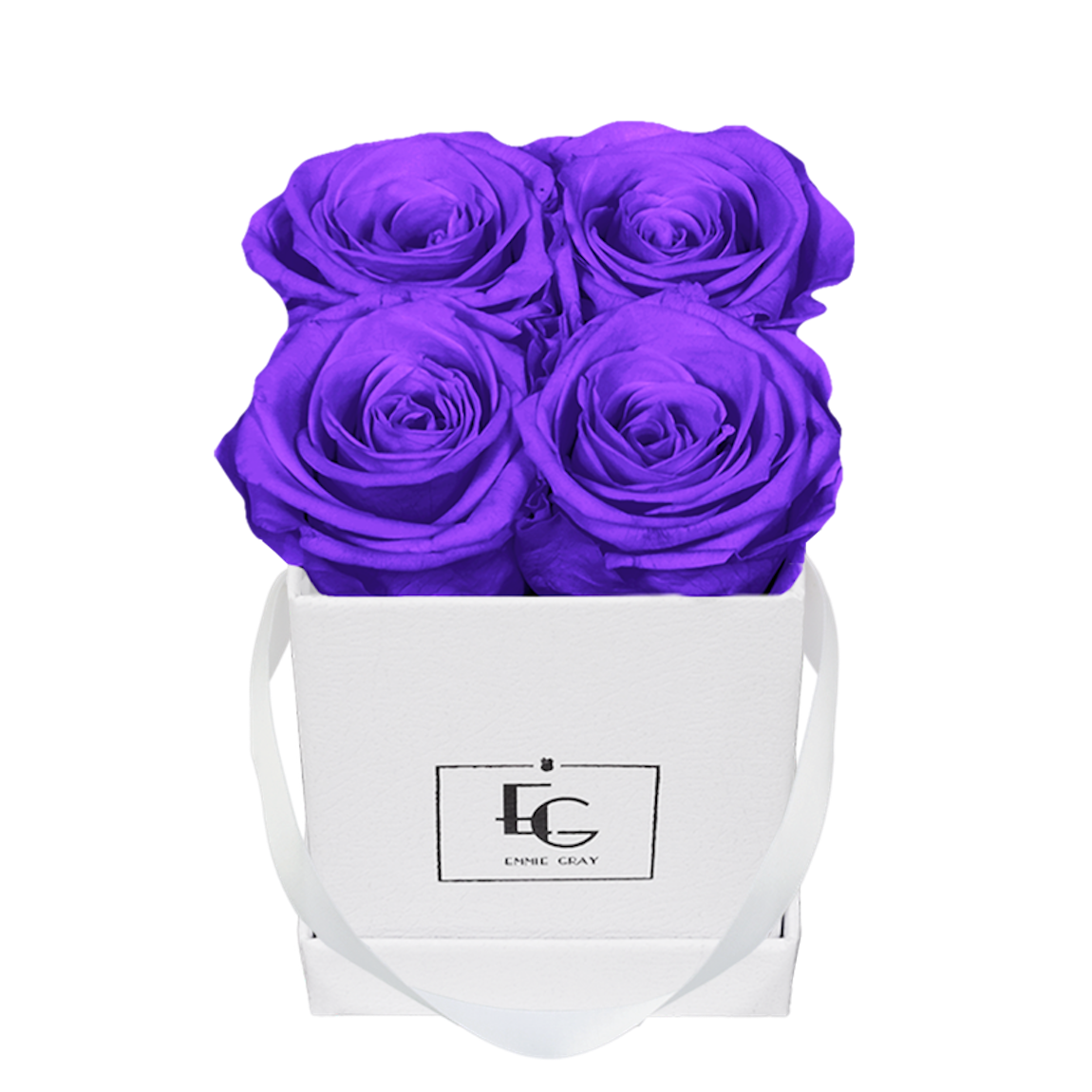 CLASSIC INFINITY ROSEBOX | VIOLET VAIN | XS CLASSIC INFINITY ROSEBOX | VIOLET VAIN | XS