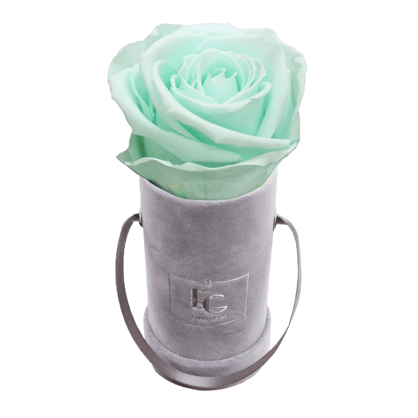 CLASSIC INFINITY ROSEBOX | MINTY GREEN | XXS