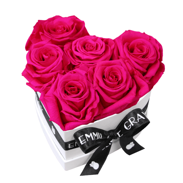 Classic Infinity Rosebox | Hot Pink | S