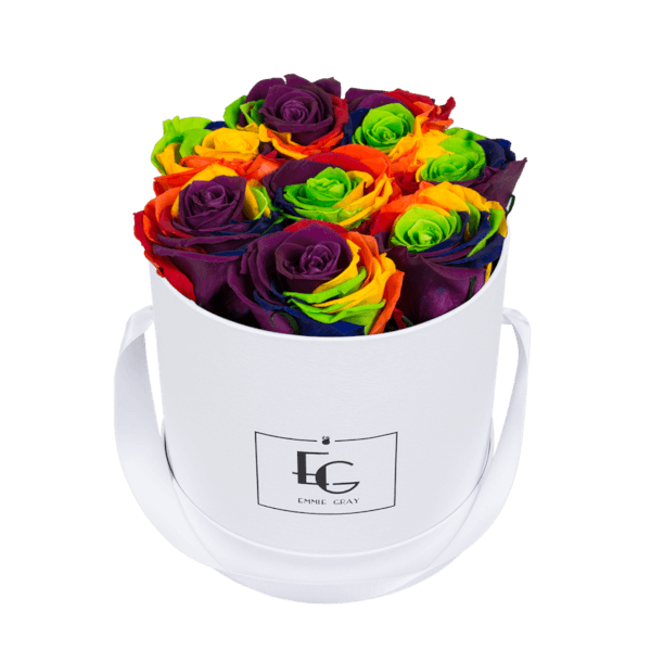 CLASSIC INFINITY ROSEBOX | RAINBOW | S