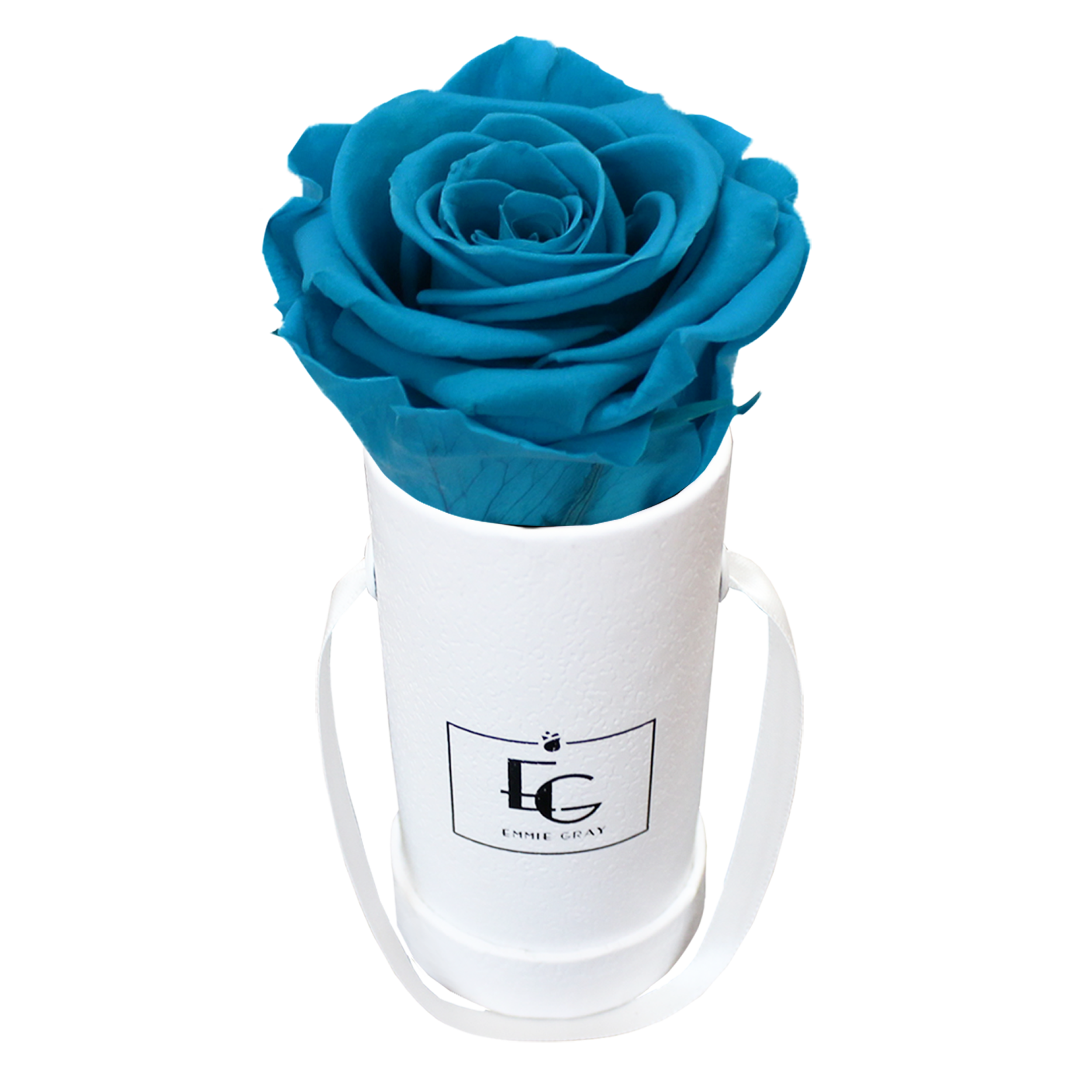 CLASSIC INFINITY ROSEBOX | AQUAMARINE | XXS CLASSIC INFINITY ROSEBOX | AQUAMARINE | XXS