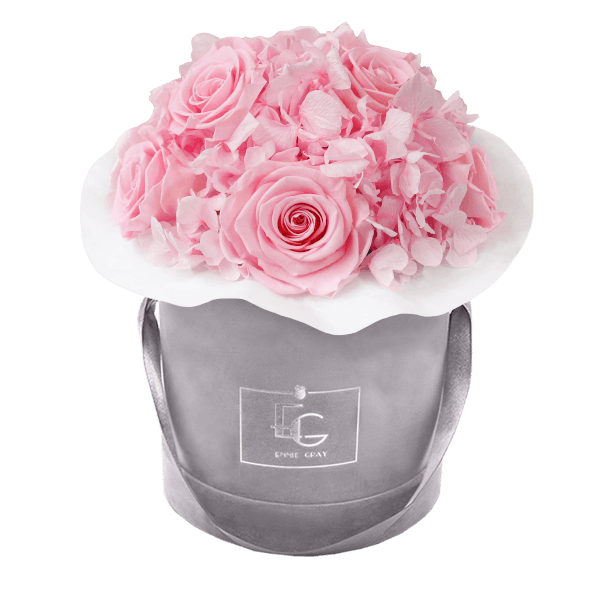 Splendid Hydrangea Infinity Rosebox | Bridal Pink | S