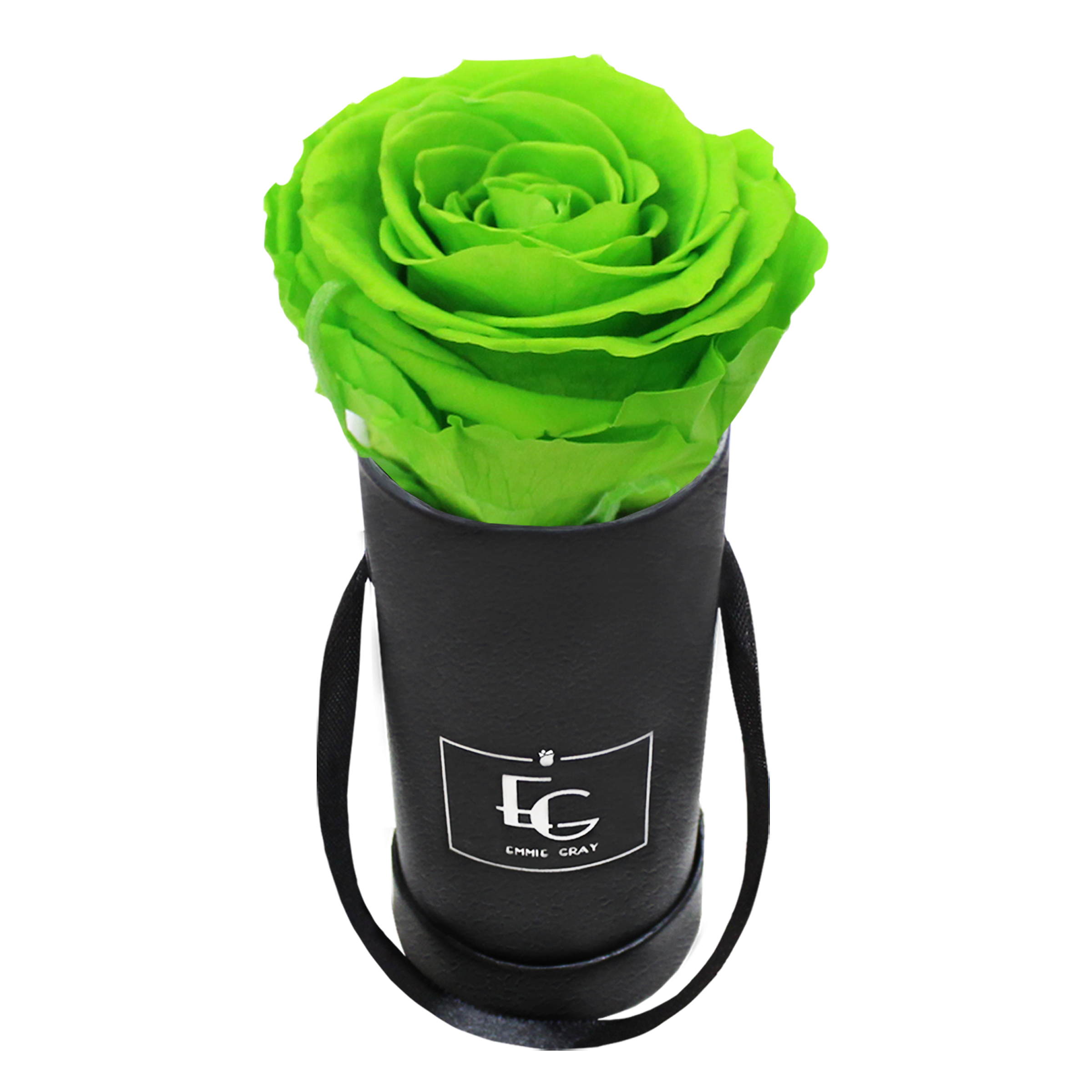 CLASSIC INFINITY ROSEBOX | GREEN GLOW | XXS