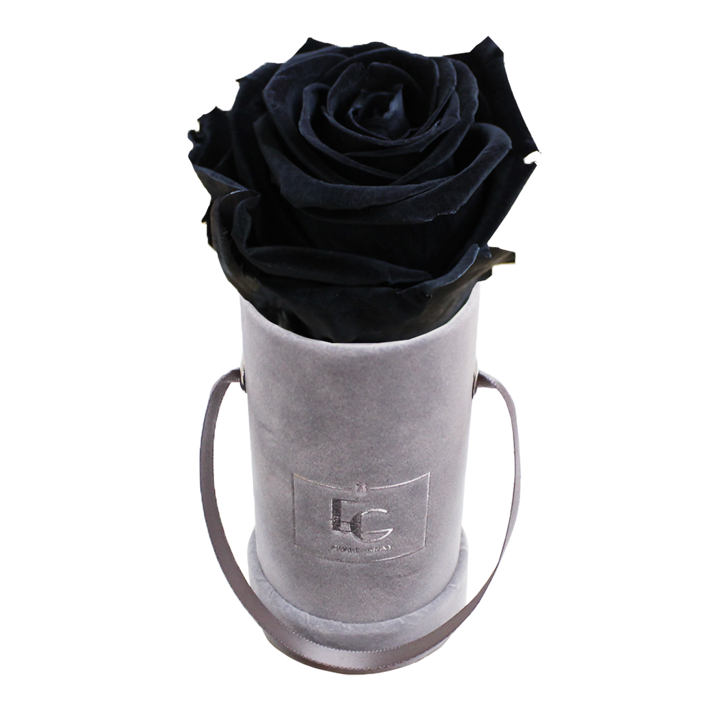CLASSIC INFINITY ROSEBOX | BLACK BEAUTY | XXS CLASSIC INFINITY ROSEBOX | BLACK BEAUTY | XXS