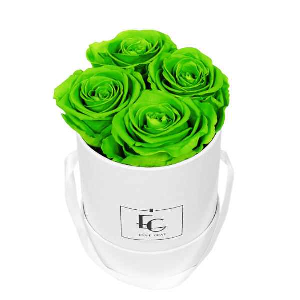 CLASSIC INFINITY ROSEBOX | GREEN GLOW | XS