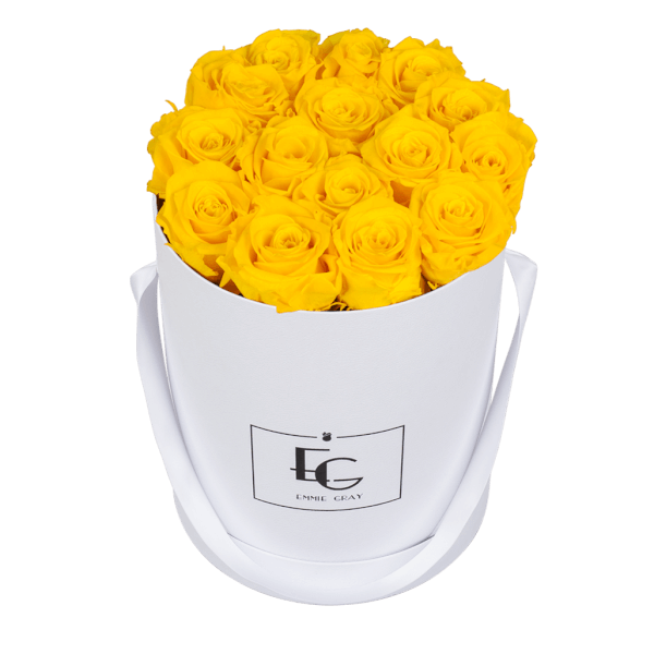 CLASSIC INFINITY ROSEBOX | SUNNY YELLOW | M