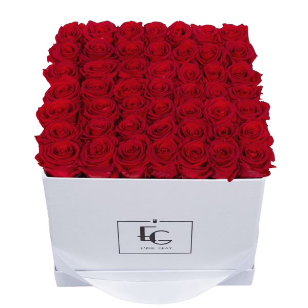 CLASSIC INFINITY ROSEBOX | VIBRANT RED | L