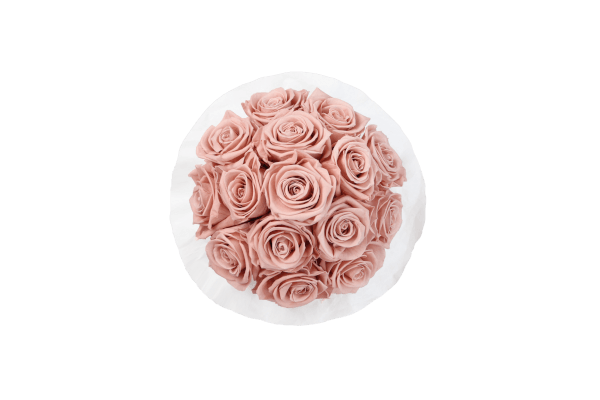 Splendid Infinity Rosebox | Antique Pink | S