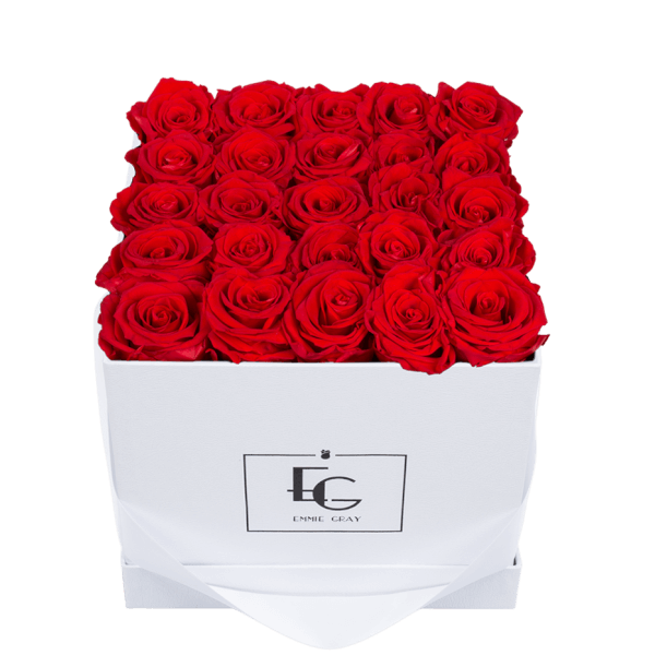 CLASSIC INFINITY ROSEBOX | VIBRANT RED | M