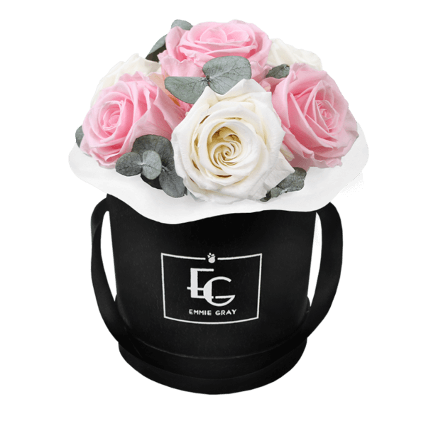 Splendid Eucalyptus Infinity Rosebox | Pure White & Bridal Pink | XS