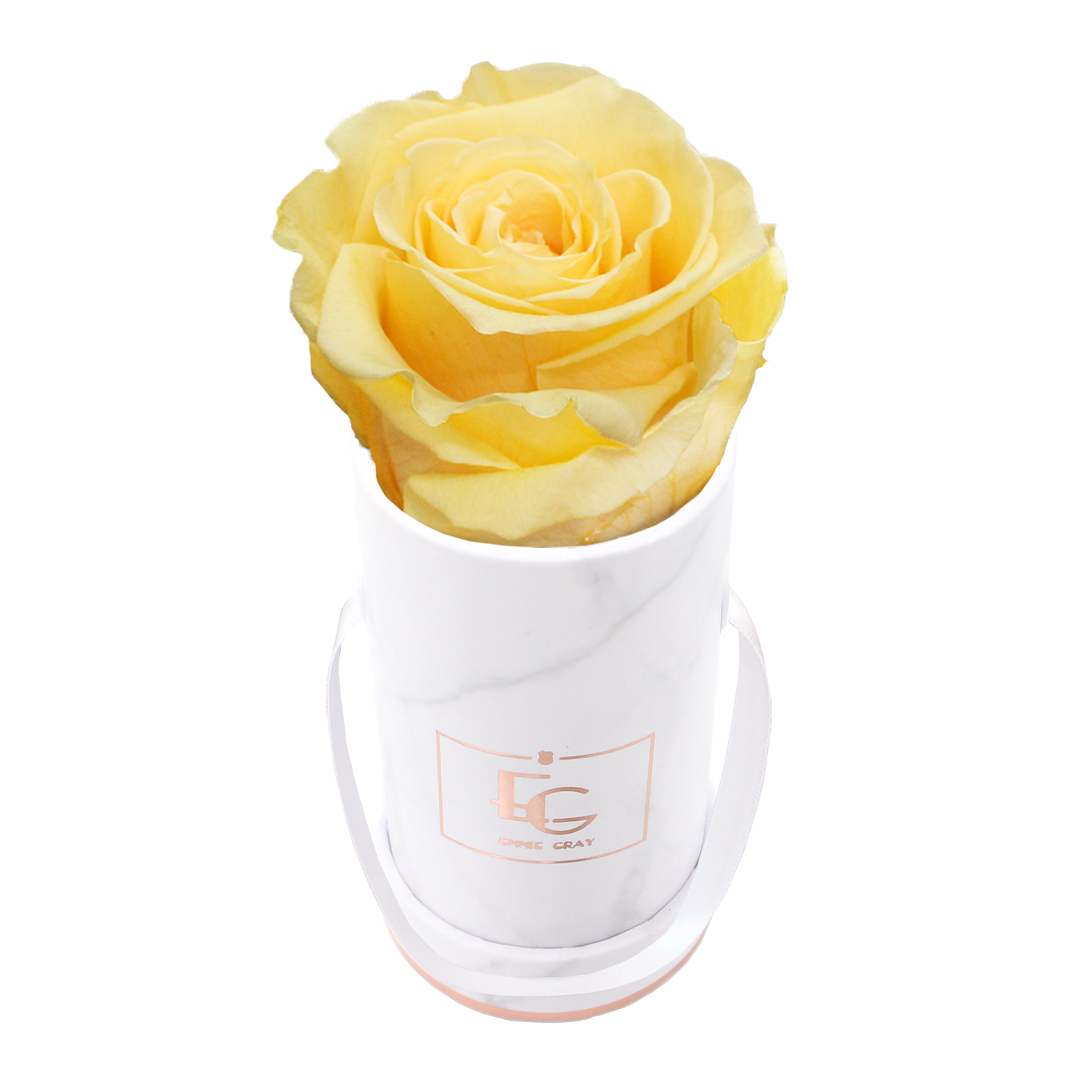 Classic Infinity Rosebox | Perfect Peach | XXS