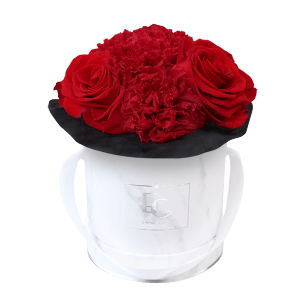 SPLENDID CARNATION INFINITY ROSEBOX | VIBRANT RED | XS