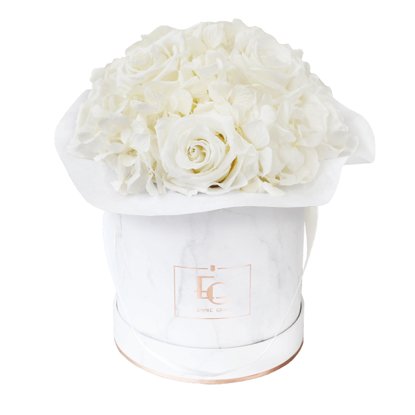 Splendid Hydrangea Infinity Rosebox | Pure White | S