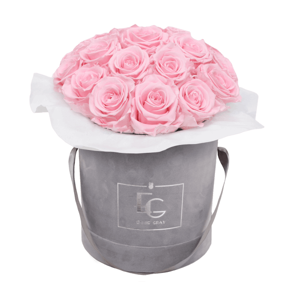 SPLENDID INFINITY ROSEBOX | BRIDAL PINK | M