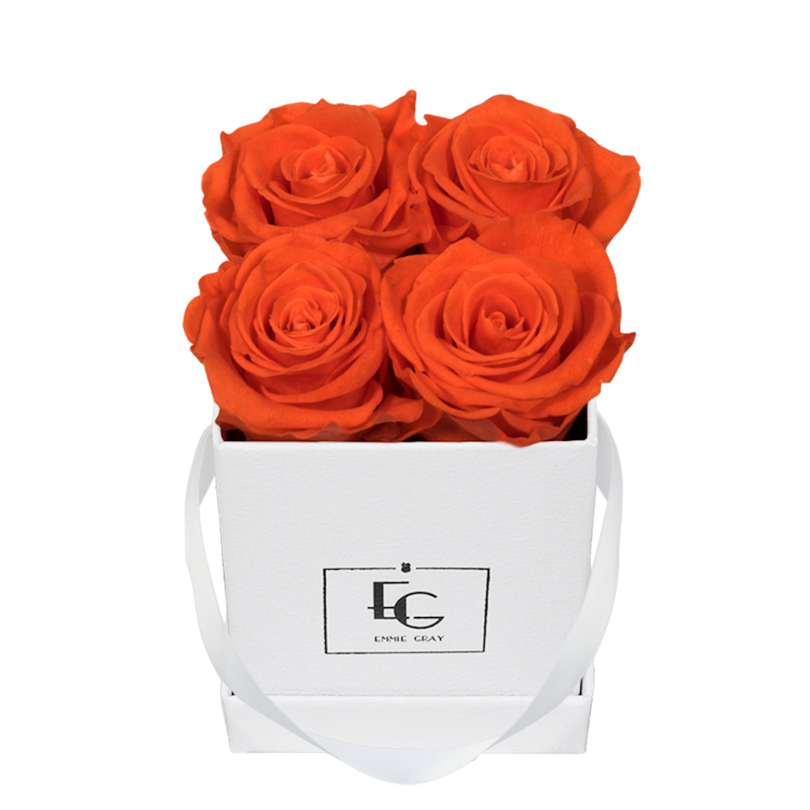 CLASSIC INFINITY ROSEBOX | ORANGE FLAME | XS CLASSIC INFINITY ROSEBOX | ORANGE FLAME | XS