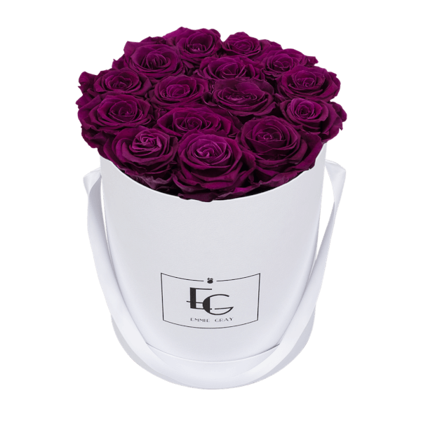 CLASSIC INFINITY ROSEBOX | VELVET PLUM | M