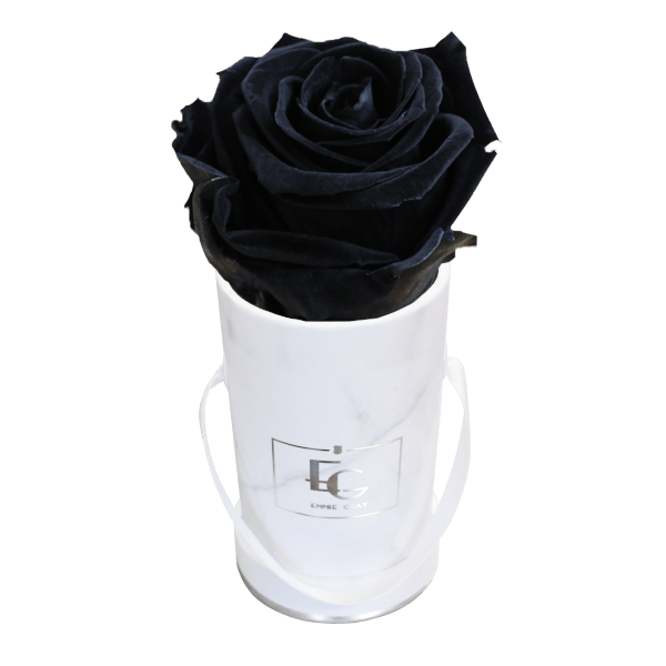 CLASSIC INFINITY ROSEBOX | BLACK BEAUTY | XXS