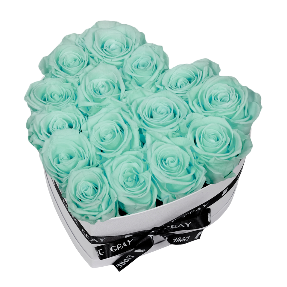 CLASSIC INFINITY ROSEBOX | MINTY GREEN | M