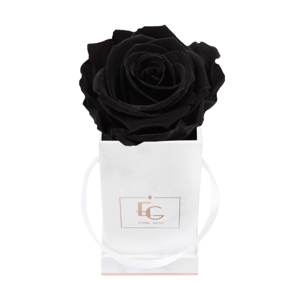 Classic Infinity Rosebox | Black Beauty | XXS