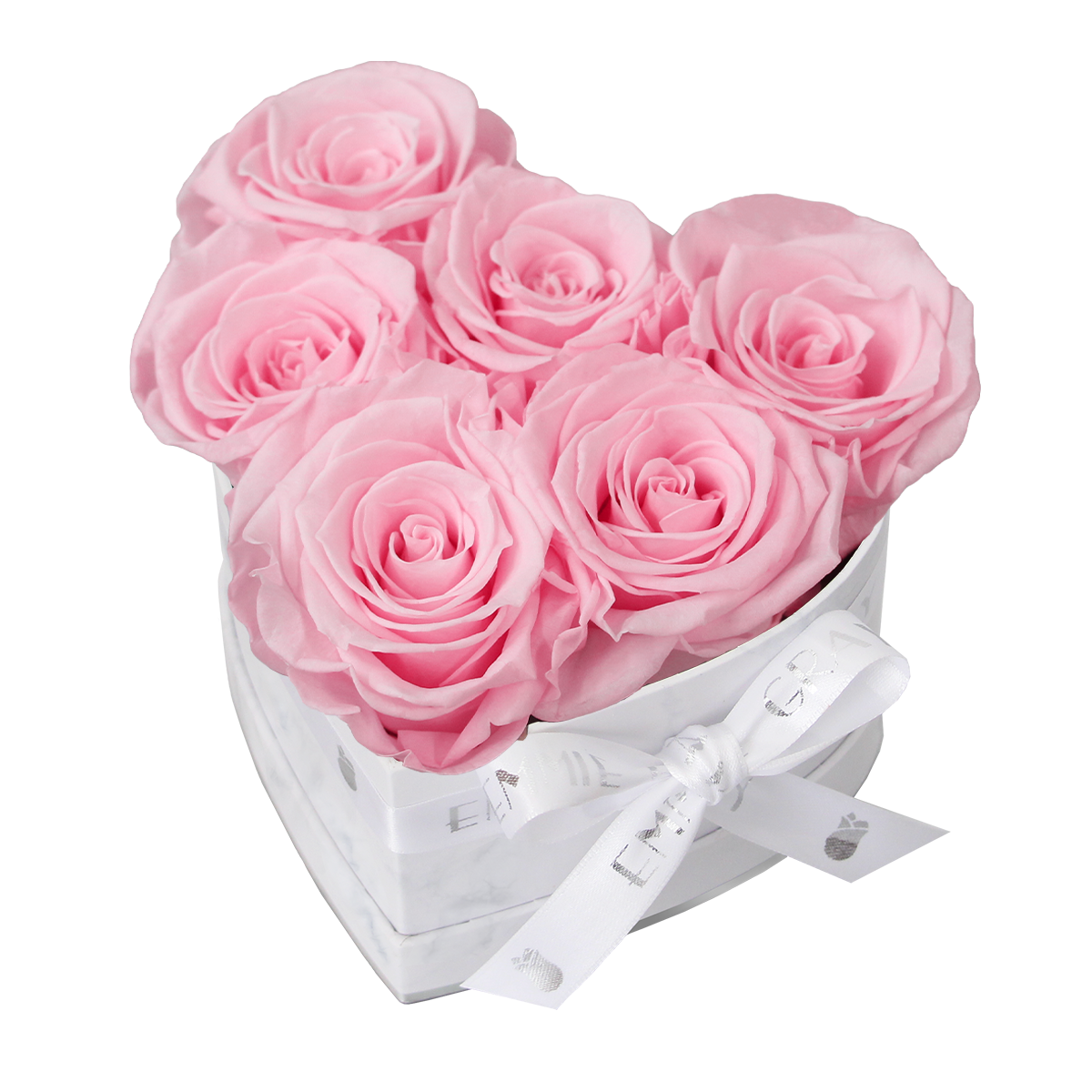 Classic Infinity Rosebox | Bridal Pink | S