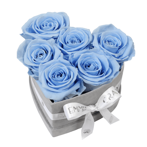 Classic Infinity Rosebox | Baby Blue | S