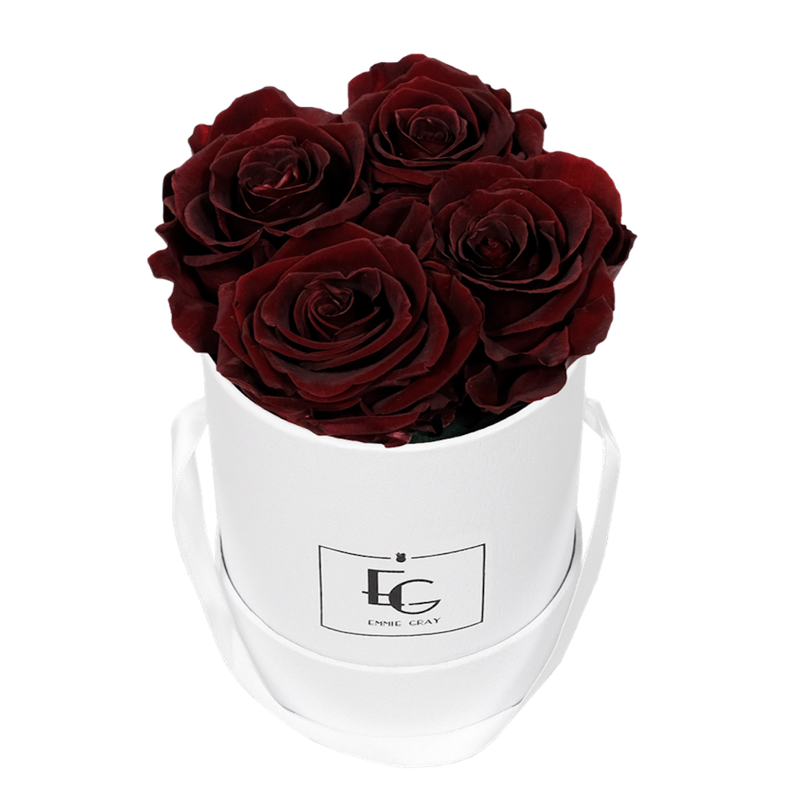 CLASSIC INFINITY ROSEBOX | BURGUNDY | XS